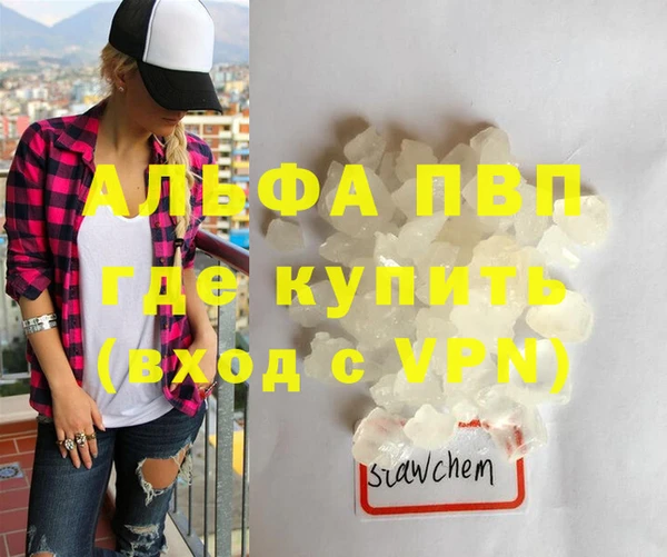прущие грибы Волоколамск
