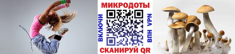 Псилоцибиновые грибы MAGIC MUSHROOMS  маркетплейс наркотические препараты  Чебоксары 