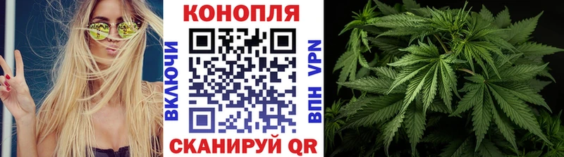 Конопля ГИДРОПОН  Чебоксары 